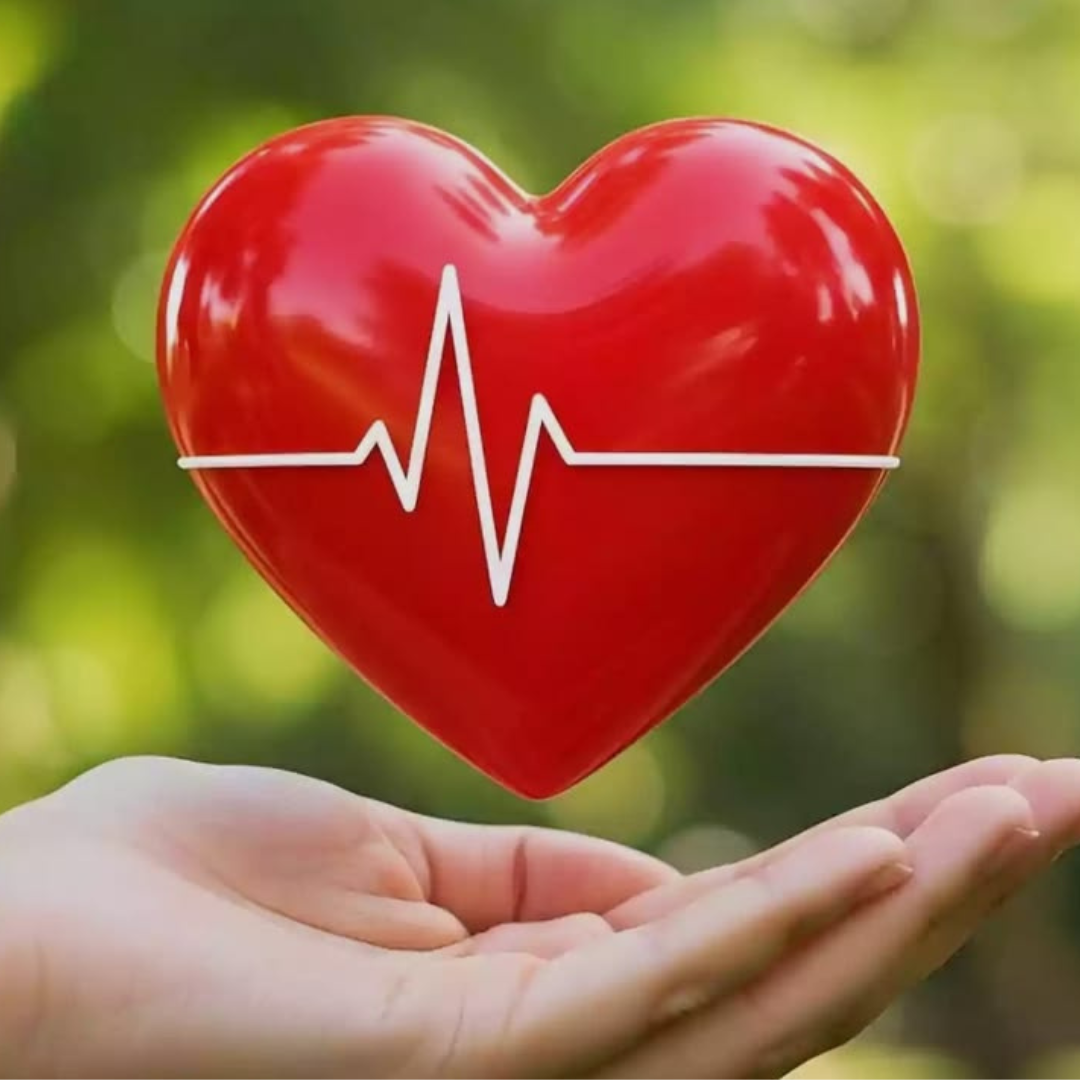Heart and Cardiovascular Health