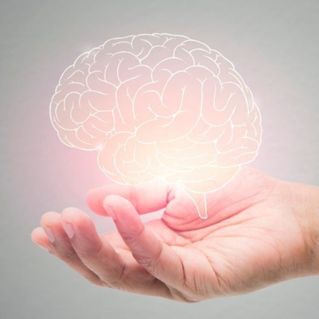 Brain Health icon