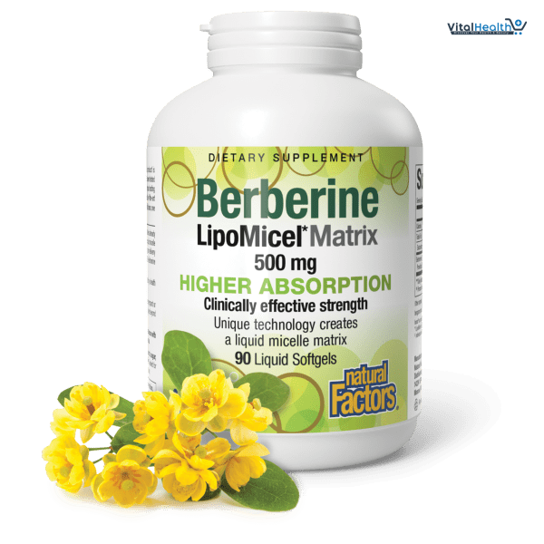 Natural Factors Berberine LipoMicel Matrix - Daily Supplement Supports Metabolic Health - Formula Supports General Health - Gluten-Free &amp; Dairy-Free - 60 Liquid Softgels (60 Servings)