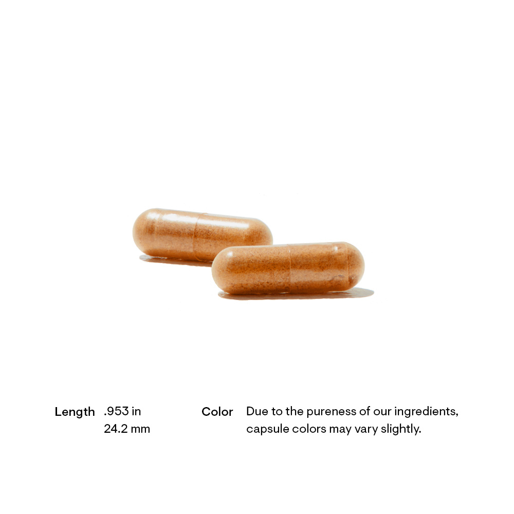 Thorne Red Yeast Rice + CoQ10 120 Capsules thumbnail 3