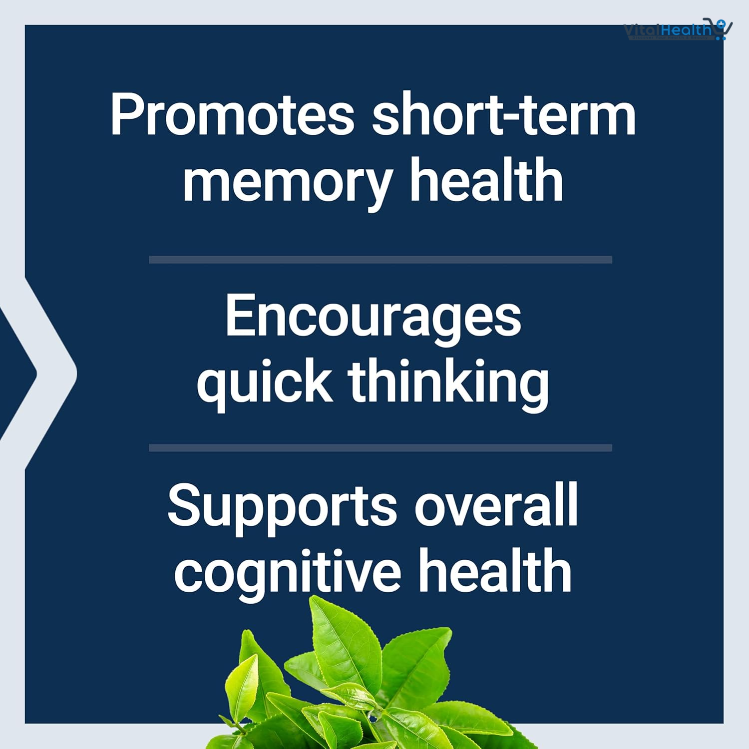 Life Extension Neuro-Mag Magnesium L-Threonate, Memory Health, Quick Thinking, Cognitive Health Support, Vegetarian, Non-GMO, 90 Vegetarian Capsules (144 mg from 2000 mg Magtein magnesium L-threonate thumbnail 3