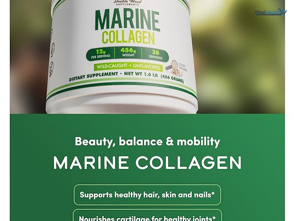 Double Wood Supplements Marine Collagen Powder (1 LB / 16 OZ of Quick Dissolve Marine Collagen Peptides) Wildcaught, Unflavored, Micronized - Scoop Included, No Fillers (38 Servings of 12 Grams Each) thumbnail 6