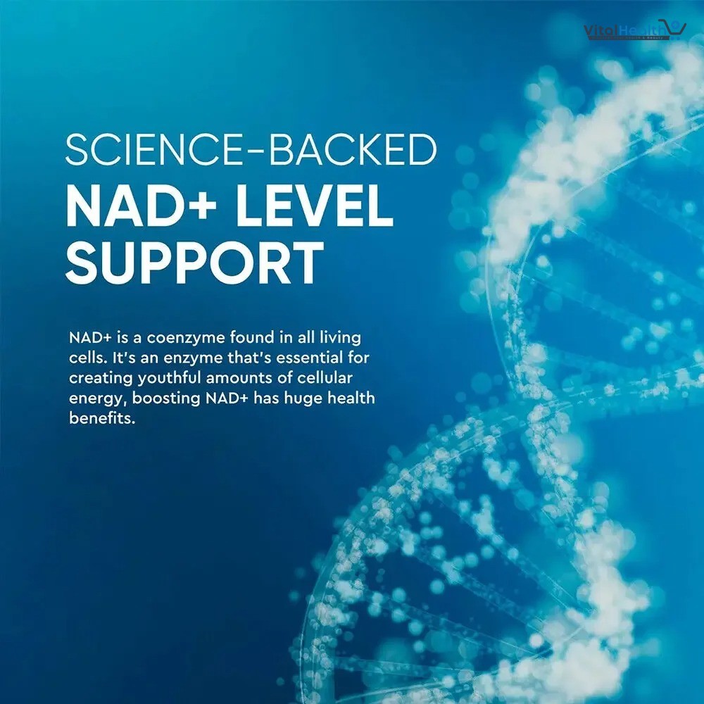 Balincer NAD Supplements with Resveratrol + Vitamin B3, NAD+ Boost Supplements thumbnail 3