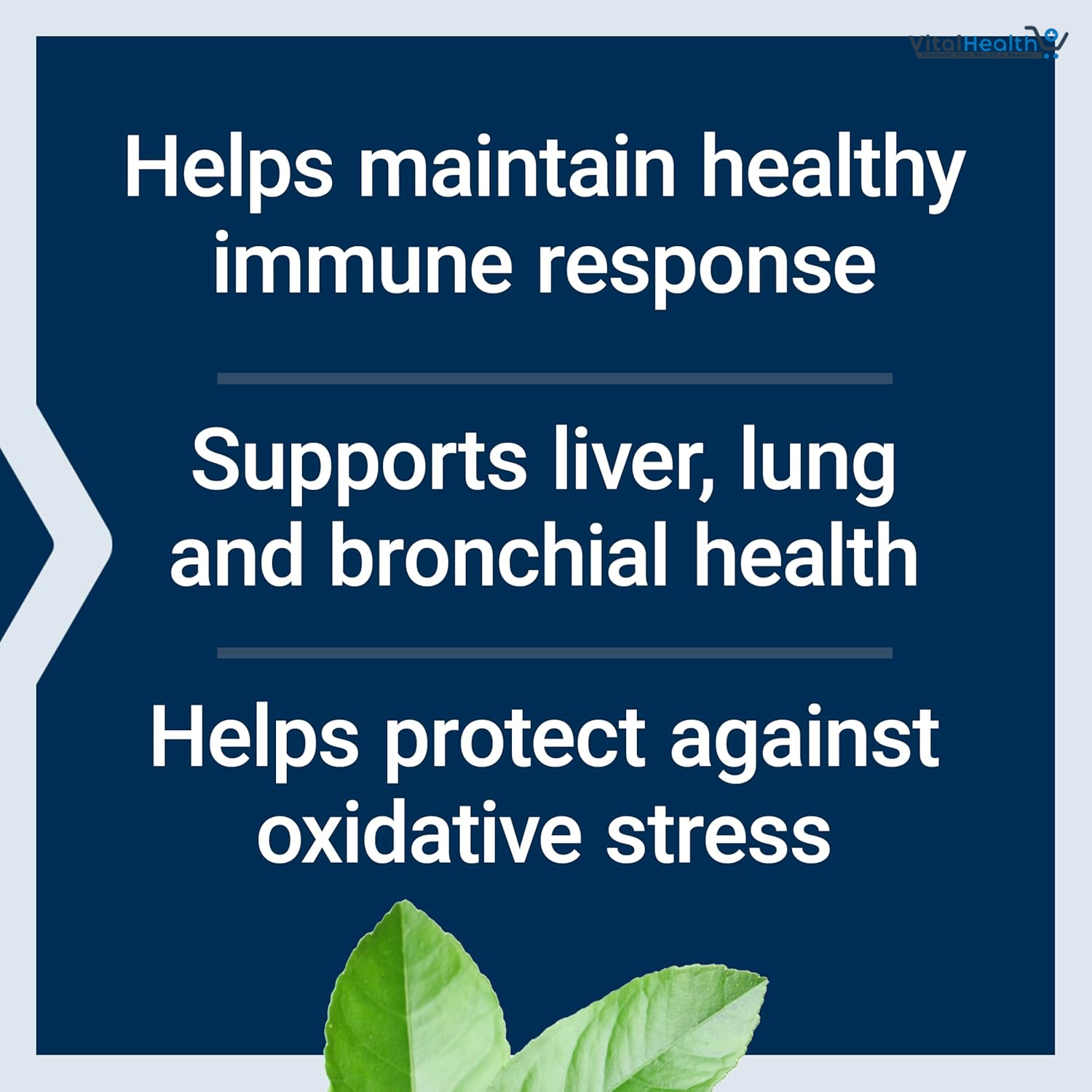 Life Extension N-Acetyl-L-Cysteine (NAC), Immune, Respiratory, Liver Health, NAC 600 mg, Potent antioxidant Support, Free-radicals, Easy to Absorb, 60 Capsules thumbnail 2