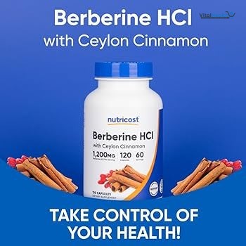 Nutricost Berberine HCl with Ceylon Cinnamon Capsules (120 Capsules, 60 Servings) - Non-GMO, Animal-Free Product