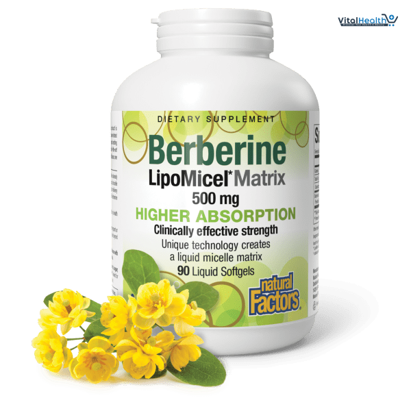 Natural Factors Berberine LipoMicel Matrix - Daily Supplement Supports Metabolic Health - Formula Supports General Health - Gluten-Free & Dairy-Free - 60 Liquid Softgels (60 Servings)
